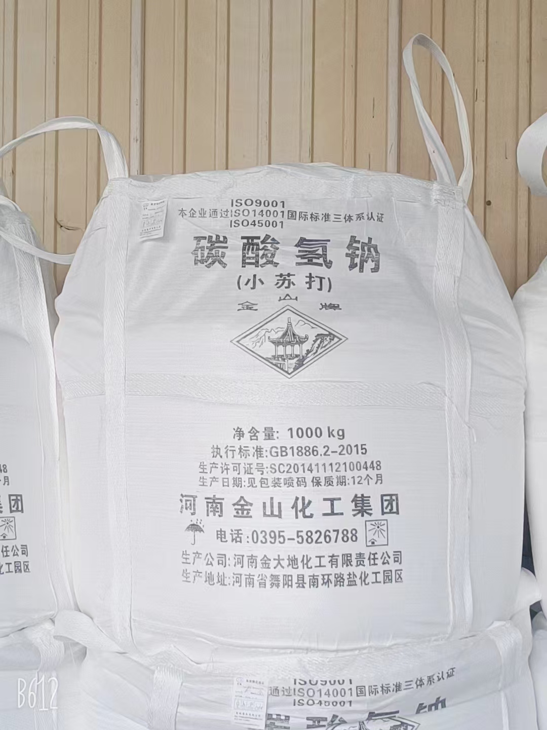 碳酸氢钠（吨包）.jpg